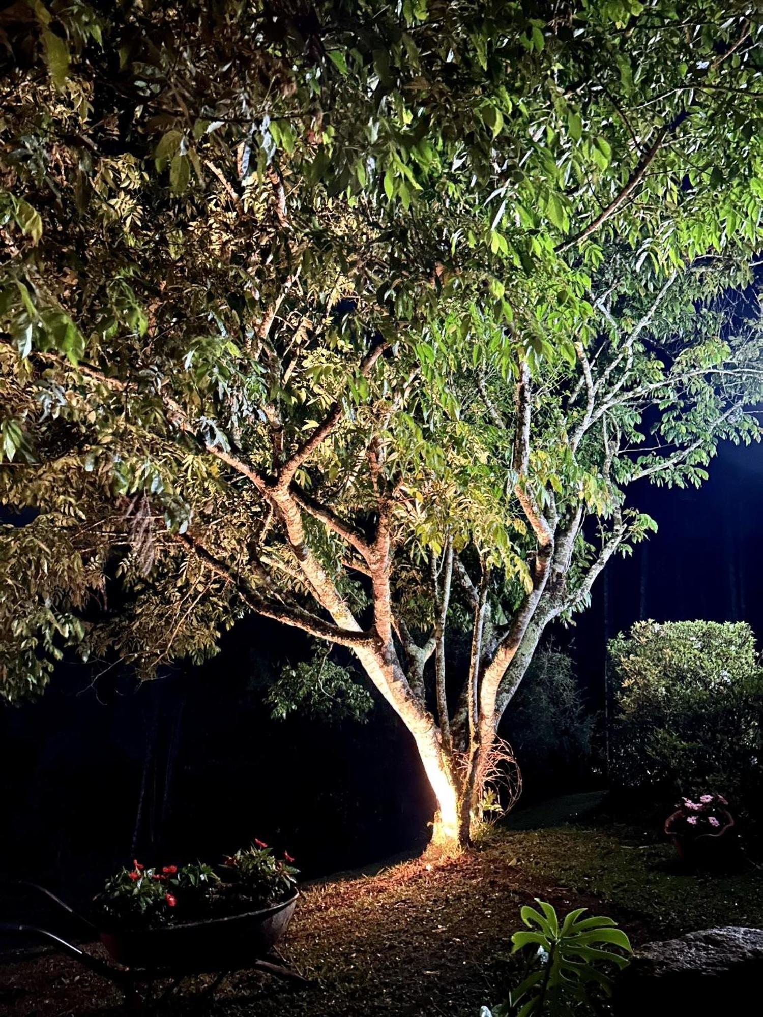 Casa De Campo Vizinha Da Lua モンテ・ヴェルデ エクステリア 写真