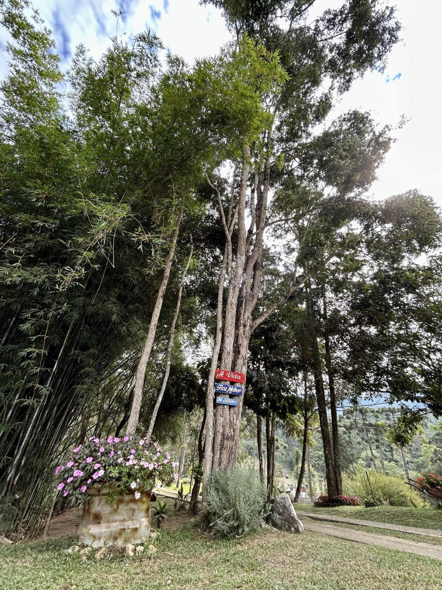 Casa De Campo Vizinha Da Lua モンテ・ヴェルデ エクステリア 写真